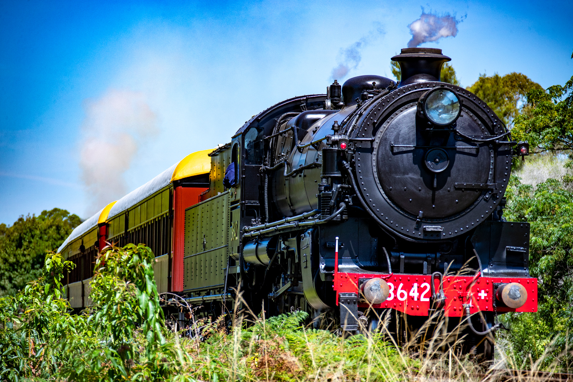 2023 Festival Of Steam